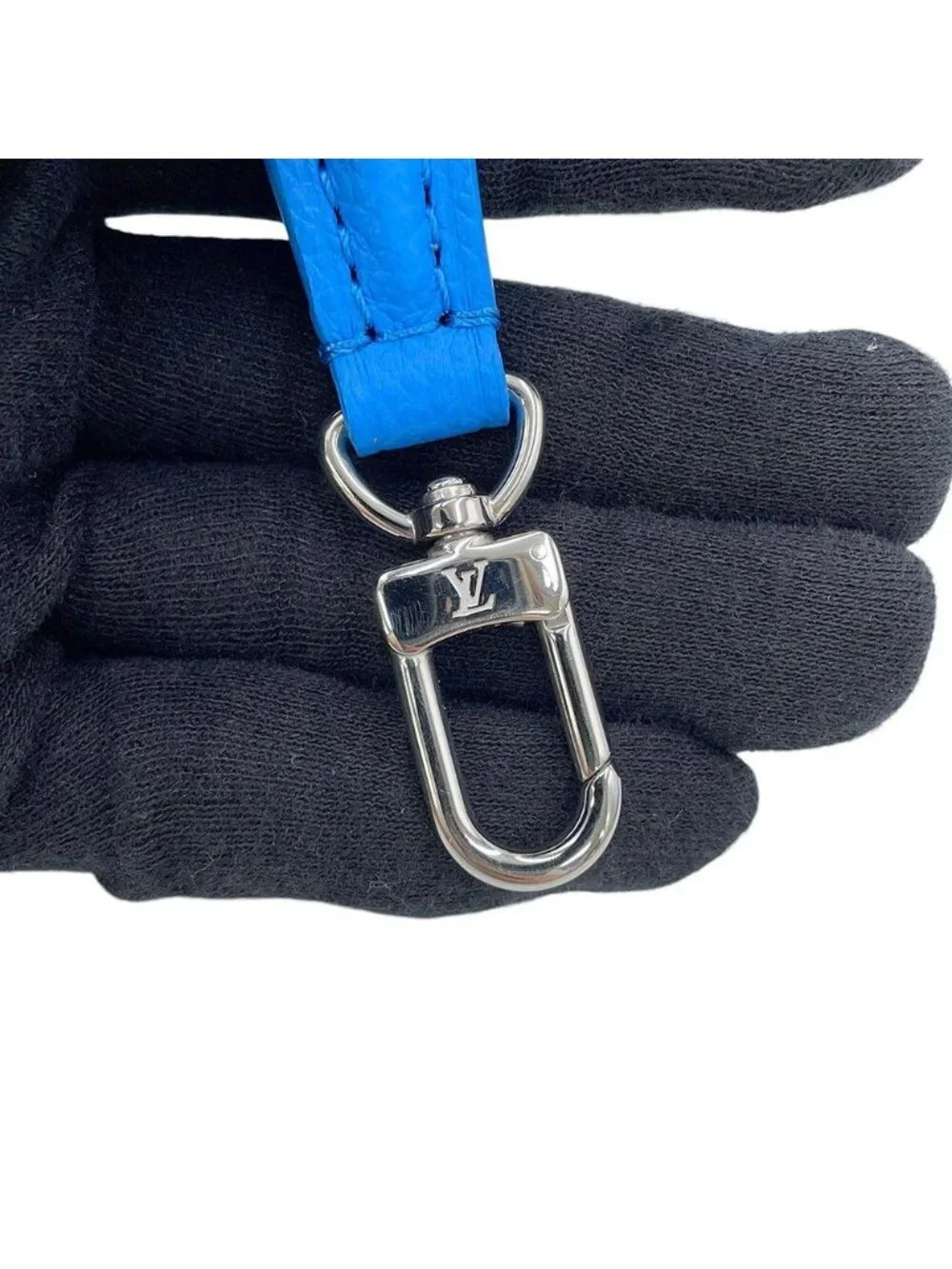 Louis Vuitton brand louis
